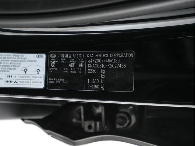 Kia e-Niro ExecutiveLine 64 kWh 2020 Elektrisch 38