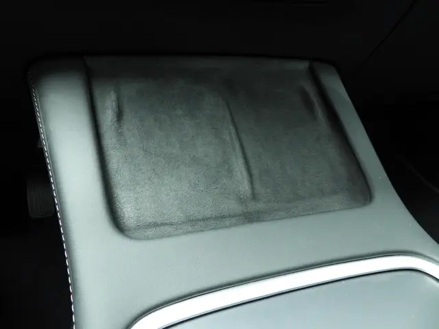 Tesla Model 3 Standard RWD Plus 60 kWh 2023 Elektrisch 22