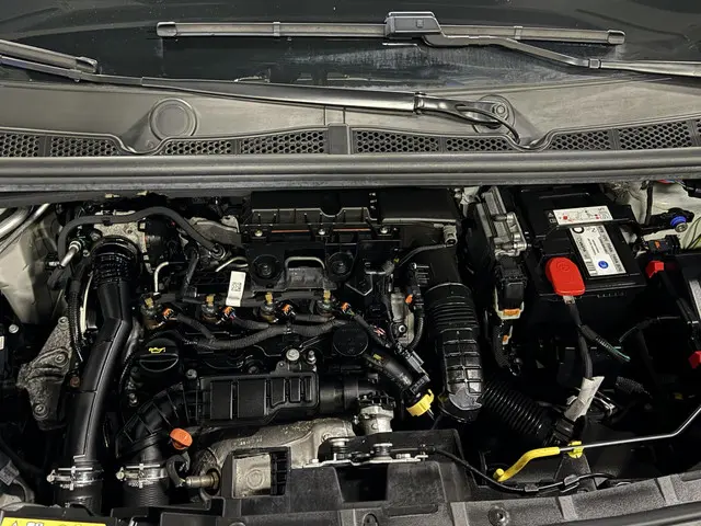 Citroën Berlingo 1.5 BlueHDI Club 2022 Diesel 22