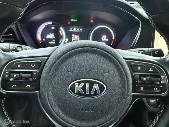 Kia e-Niro DynamicLine 64 kWh 2020 Elektrisch 12