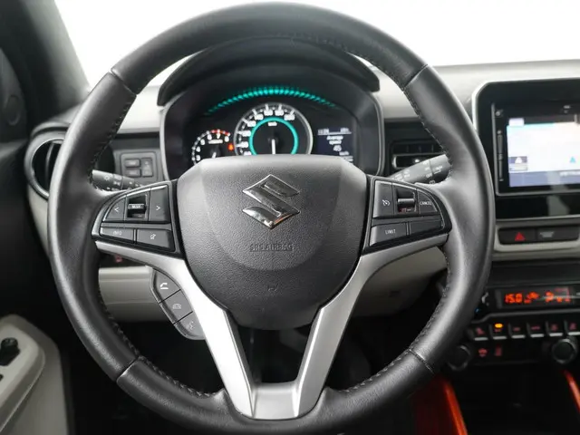 Suzuki Ignis 1.2 Smart Hybrid Stijl 2019 Benzine 12