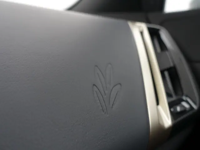 BMW iX xDrive40 M Gold Edition 77 kWh- 2021 Elektrisch 10