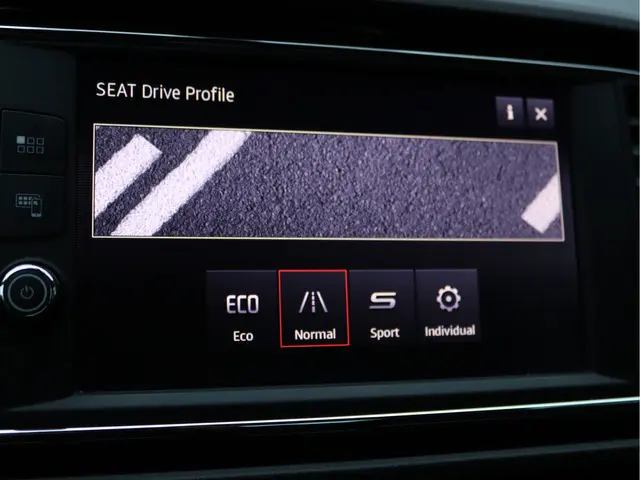 SEAT Leon 2.0 TSI FR Business Intense 2019 Benzine 48