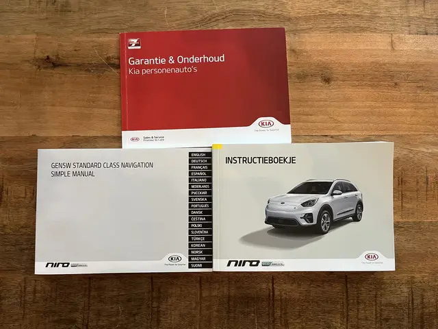 Kia e-Niro ExecutiveLine 64 kWh 2020 Elektrisch 43