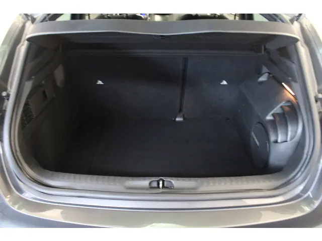 DS DS 4 1.2 PureTech Chic 2017 Benzine 21