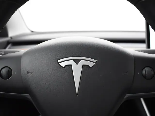 Tesla Model 3 PERFORMANCE 463 PK AWD *BTW* 2019 Elektrisch 40