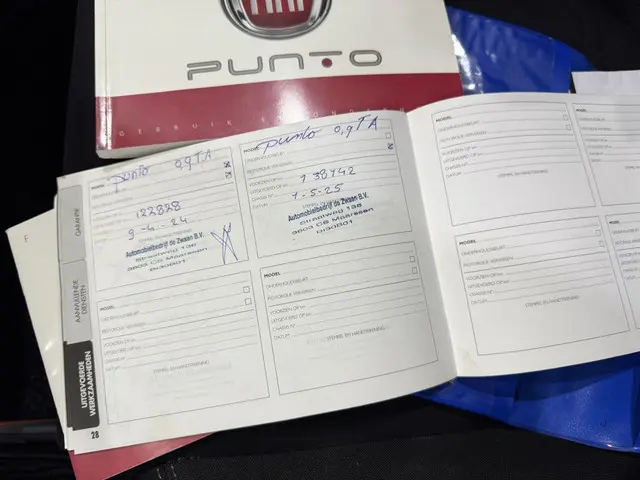 Fiat Punto 0.9 TwinAir Turbo 100 Lounge 2015 Benzine 19
