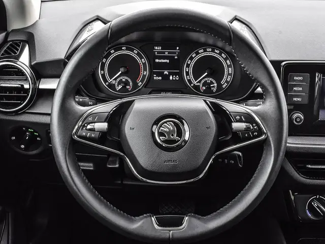 Škoda Fabia 1.0 TSI 110pk DSG Ambition 2023 Benzine 14