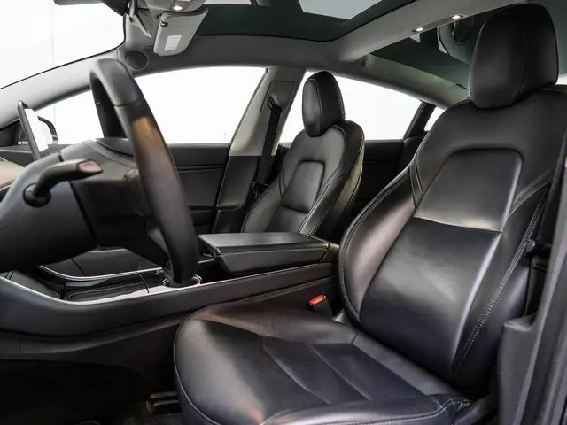 Tesla Model 3 Long Range AWD 75 kWh 2019 Elektrisch 10