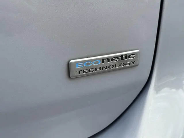 Ford C-MAX 1.0 Titanium 2013 Benzine 31