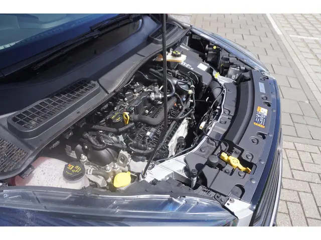 Ford Kuga 1.5 EcoBoost ST Line / Cruise 2019 Benzine 11