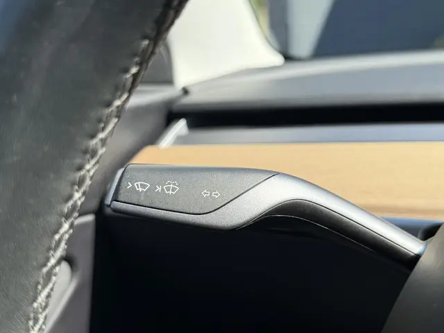 Tesla Model 3 Long Range AWD 75 kWh 2019 Elektrisch 21