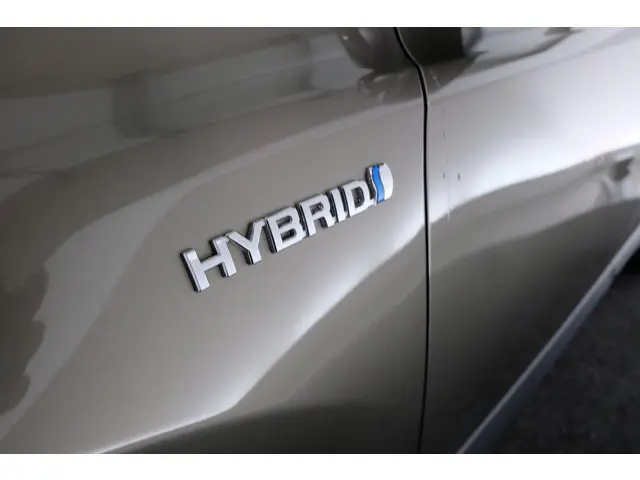 Toyota RAV4 2.5 Hybrid Dynamic 2019 Hybride Benzine 21