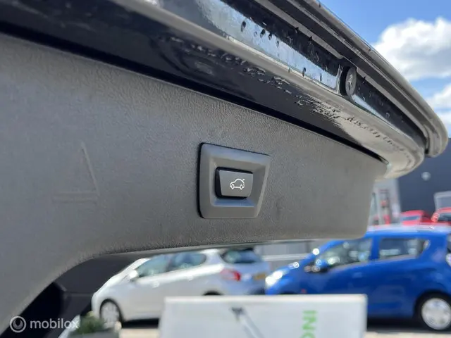BMW 5 Serie Touring 520d High Executive 2020 Diesel 18