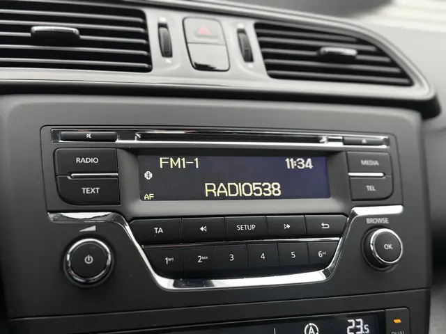 Renault Kadjar 1.2 TCe 2017 Benzine 12