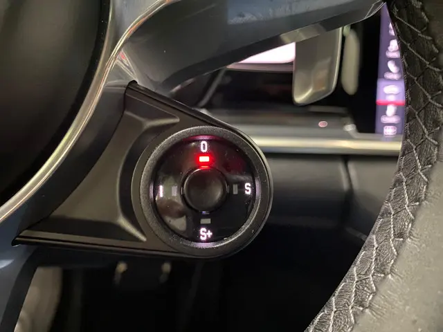 Porsche Panamera 2.9 4S 2019 Benzine 25