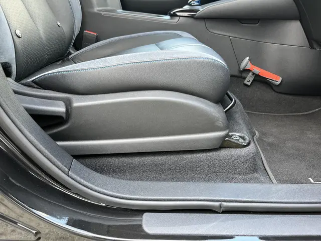 Nissan Leaf Tekna 40 kWh 2018 Elektrisch 30