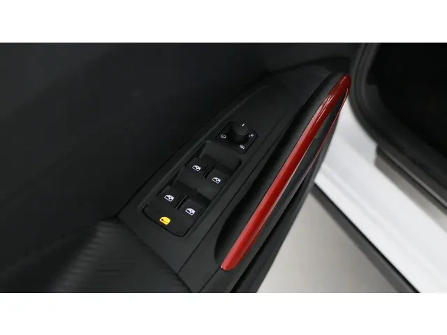 Škoda Fabia 1.0 TSI 95pk Monte Carlo 2024 Benzine 14