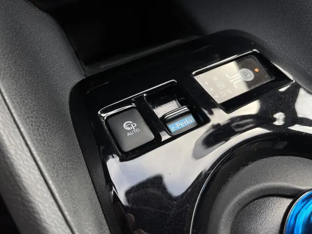 Nissan Leaf Tekna 40 kWh 2019 Elektrisch 22
