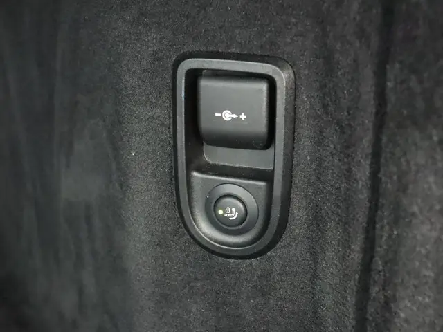 BMW 5 Serie Touring 520i High Executive 2020 Benzine 40