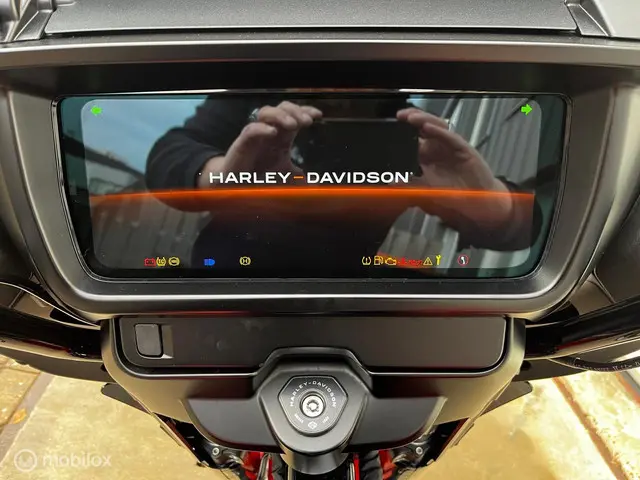 Harley-Davidson Street Glide 117 FLHX 2024 Benzine 21