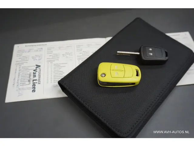 Opel ADAM 1.4 Glam, LPG-G3!! 2014 LPG/Gas 22