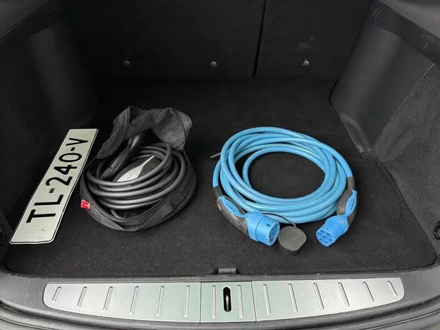 Tesla Model X 75D Aut. 2018 Elektrisch 10