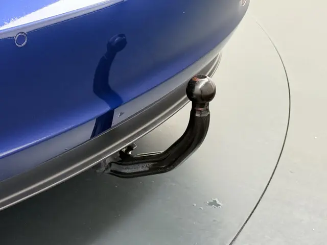 Tesla Model 3 Long Range AWD 75 kWh 2019 Elektrisch 11