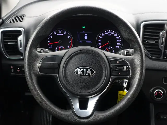 Kia Sportage 1.6 GDI EconomyLine- 2017 Benzine 13