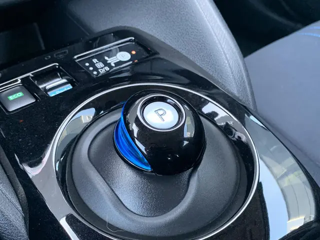 Nissan Leaf Acenta 40 kWh 2020 Elektrisch 20