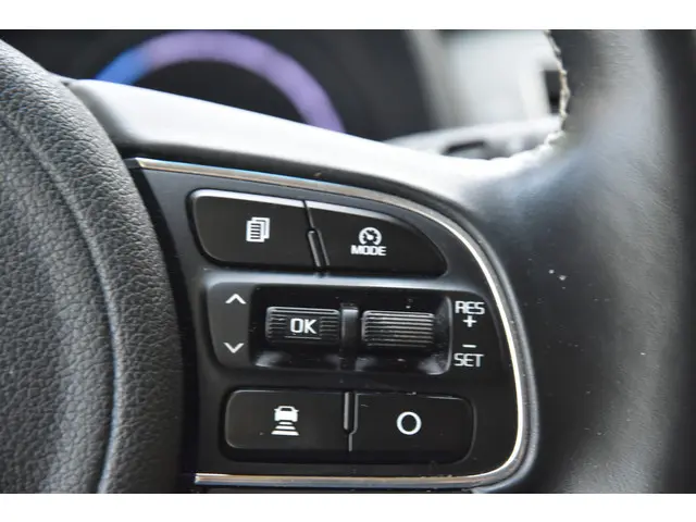Kia e-Niro ExecutiveLine 64 kWh 2020 Elektrisch 11
