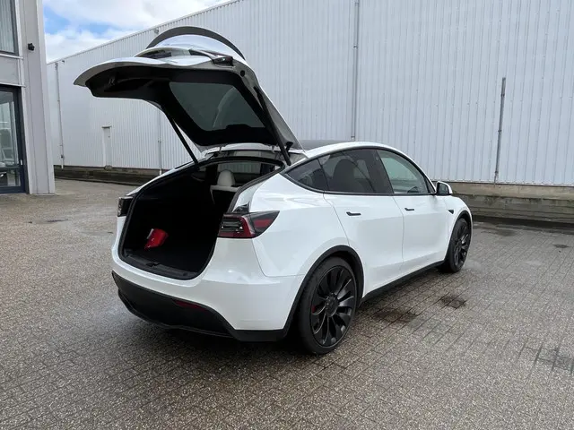 Tesla Model Y Performance AWD 75 kWh 2023 Elektrisch 55