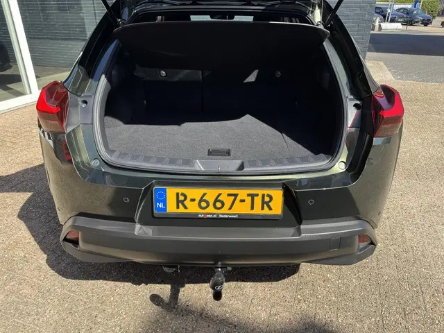 Lexus UX 250h Preference Line 2022 Hybride Benzine 21