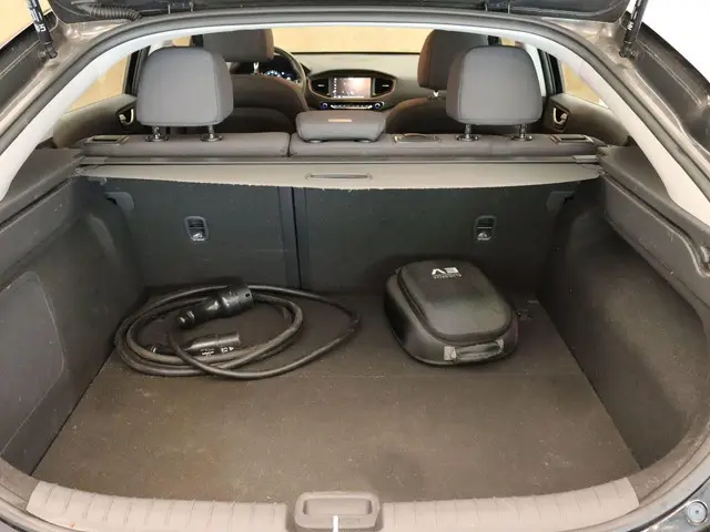 Hyundai IONIQ Comfort EV 2019 Elektrisch 8