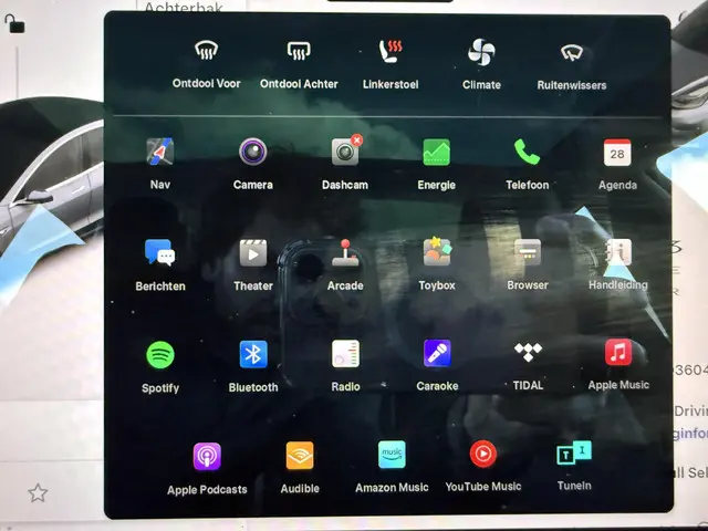 Tesla Model 3 Long Range AWD 75 kWh 2019 Elektrisch 19