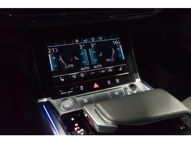 Audi e-tron 50 Quattro 2020 Elektrisch 13