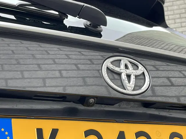 Toyota RAV4 2.0 VVT-iE Business 2021 Benzine 30