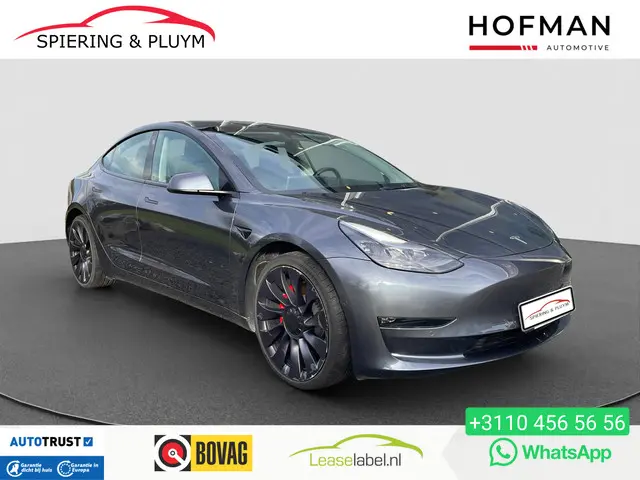 Tesla Model 3 Performance AWD 75 kWh 2022 Elektrisch
