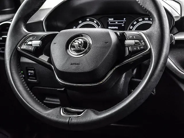 Škoda Fabia 1.0 TSI 110pk DSG Ambition 2023 Benzine 18