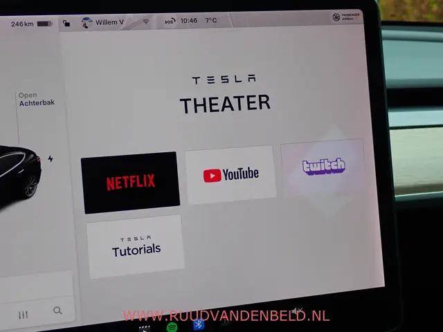 Tesla Model 3 SR+ 60KWH 2019 Elektrisch 21