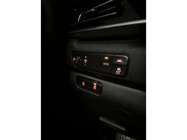 Kia e-Niro DynamicLine 64 kWh 2020 Elektrisch 31