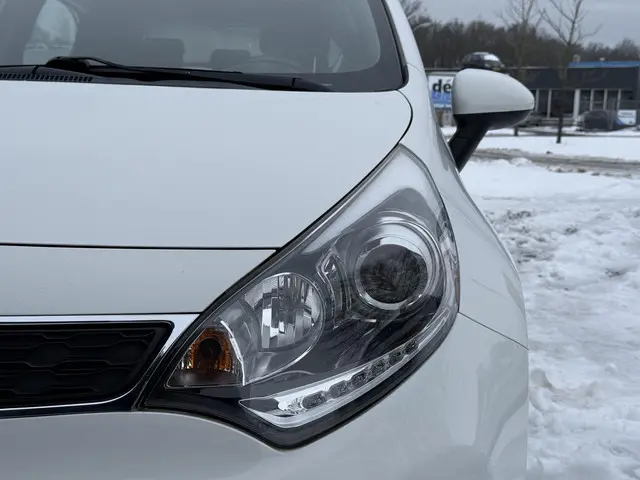 Kia Rio 1.2 CVVT BusinessLine 2014 Benzine 30