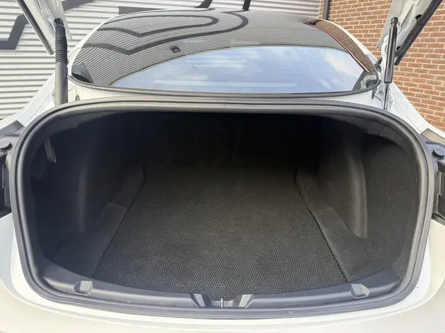 Tesla Model 3 Long Range AWD 75 kWh 2021 Elektrisch 23