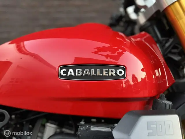 Fantic Caballero 500 Rally 2021 Benzine 14