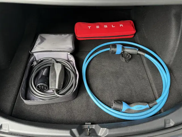 Tesla Model 3 Range Plus 2021 Elektrisch 9