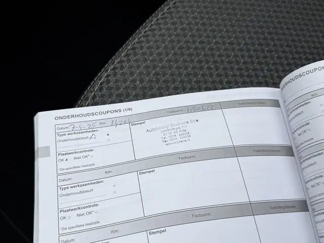 Dacia Spring Essential 27 kWh 2024 Elektrisch 12