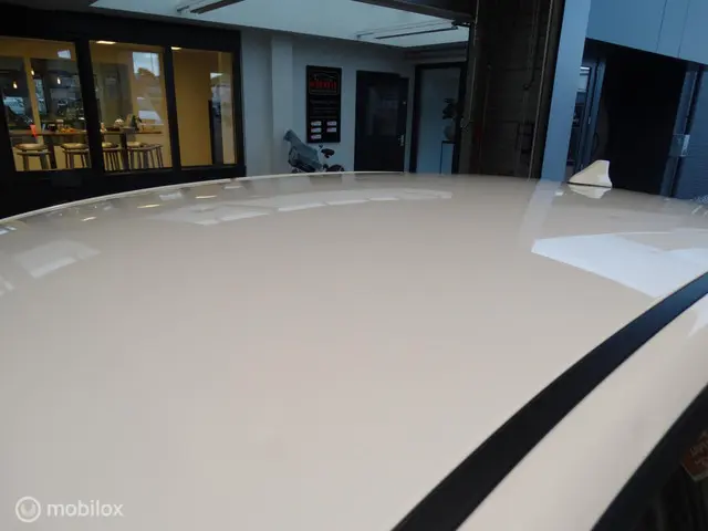 Kia Picanto 1.2 CVVT GT-Line | Hagelschade 2018 Benzine 23