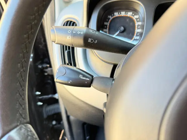 Fiat Panda 1.2 Lounge 2018 Benzine 18
