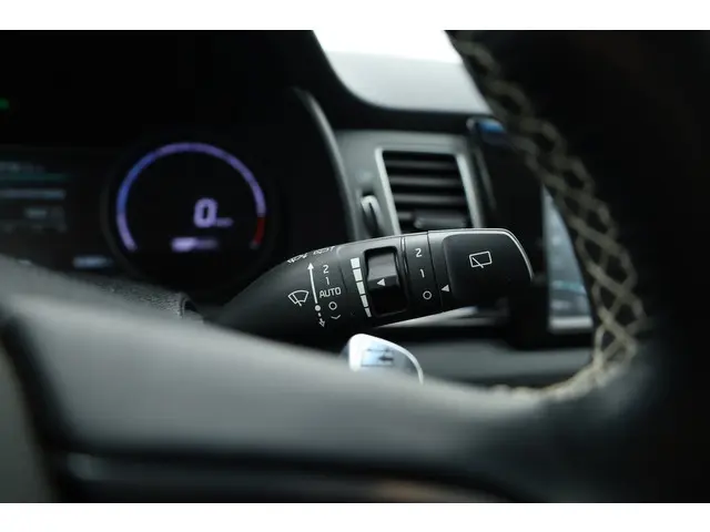 Kia e-Niro ExecutiveLine 64 kWh 2019 Elektrisch 13