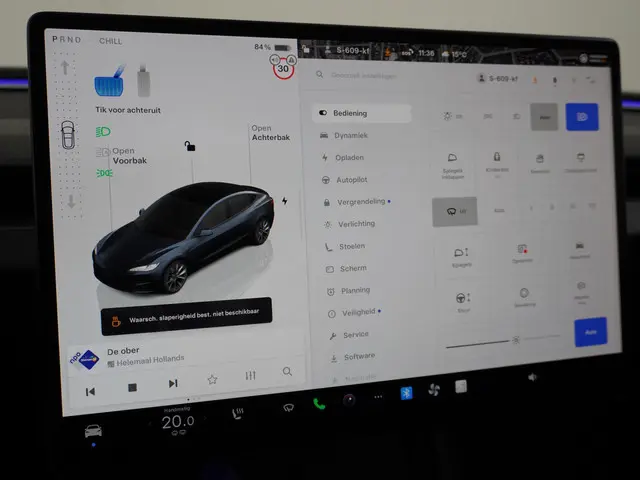 Tesla Model 3 Long Range AWD 78 kWh 2023 Elektrisch 35